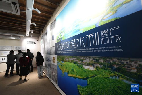 水清岸綠民富 綠色太湖譜新篇——新時(shí)代長(zhǎng)三角區(qū)域文化場(chǎng)館管理服務(wù)的創(chuàng)新實(shí)踐